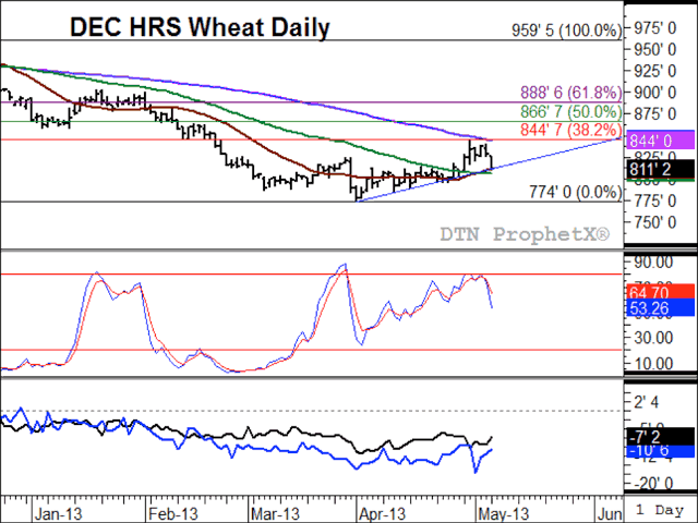 The December hard red spring wheat daily chart shows a loss of 17 1/4 cents in Monday&#039;s trade, although the session low at $8.11 failed to test trend line support at $8.10 1/2. Potential support may also be found at the contract&#039;s 20-day moving average (brown line) at $8.10/bu. and the 50-day moving average at $8.06/bu. Spreads have gained strength (lower study) with the Sept/Dec spread (black line) gaining 2 cents and the Dec/March spread (blue line) gaining 1 cent. (DTN graphic by Nick Scalise)